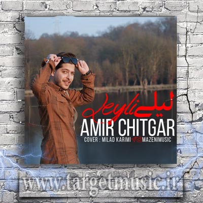 دانلود آهنگ امیر چیتگر لیلی