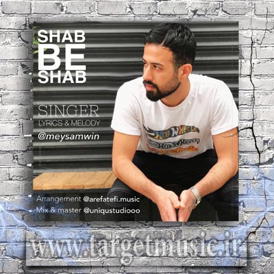 دانلود آهنگ میثم وین به نام شب به شب
