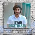 دانلود آهنگ ایلیار دوست دارم