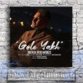 دانلود آهنگ گل یخ تو یه وقت نکنی قهر که میمیرم میشه آب همه چی بری منم از دست میرم