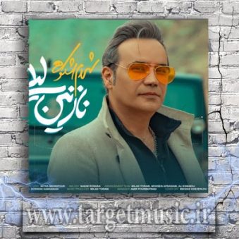 دانلود آهنگ شهرام شکوهی نازنین لیلی دانلود آهنگ شهرام شکوهی نازنین لیلی