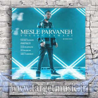 دانلود آهنگ یوسف زمانی مثل پروانه
