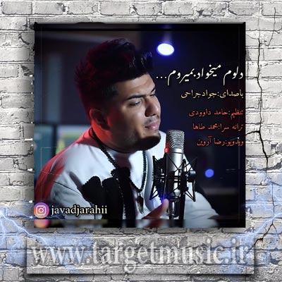 دانلود آهنگ دلوم میخواد بمیروم مرگو بغل بگیروم دنیا چه کردی با دل دل شیدای پیروم