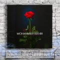 دانلود آهنگ آدمت میشم من حوا اگه تو باشی سیب برات میچینم تا یه ذره خوش باشی