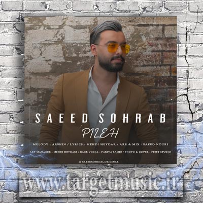 دانلود آهنگ تو ماه شب چهاردمی هنوزم آرزوی قلبمی