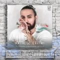 دانلود آهنگ امیر عظیمی گل