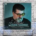 دانلود آهنگ مهدی یغمایی کاش میشد