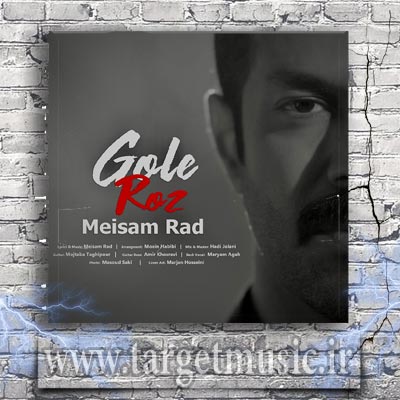 دانلود آهنگ تو این خیابونا زیر این بارونا دلمو گم کردم دنبالش می گردم