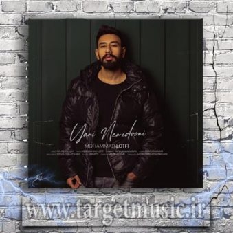 دانلود آهنگ محمد لطفی یعنی نمیدونی