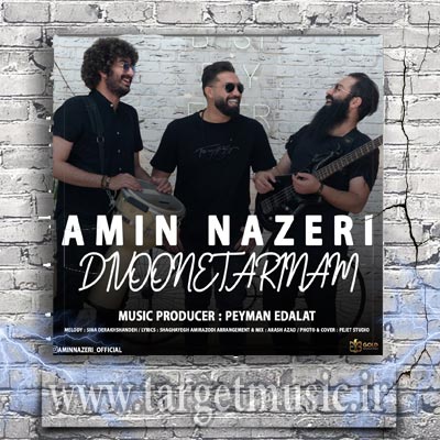 دانلود آهنگ امین ناظری دیوونه ترینم