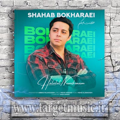 دانلود آهنگ حلالت نمیکنم حال دلمو خوون کنی