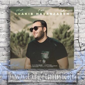 دانلود آهنگ شکیب حسن زاده تویی تموم حرفم