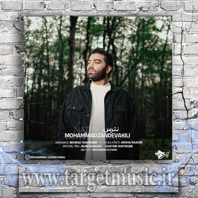 دانلود آهنگ محمد زندوکیلی نترس