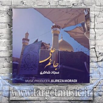 دانلود آهنگ سجاد شاکری جانم علی