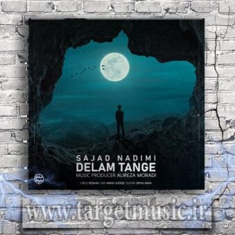 دانلود آهنگ سجاد ندیمی دلم تنگه