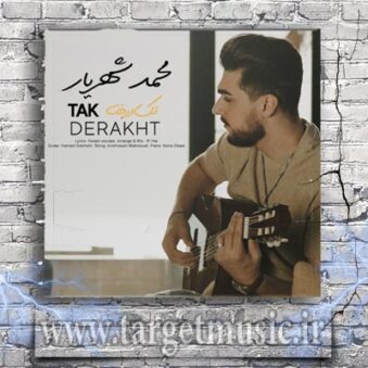 دانلود آهنگ محمد شهریار تک درخت