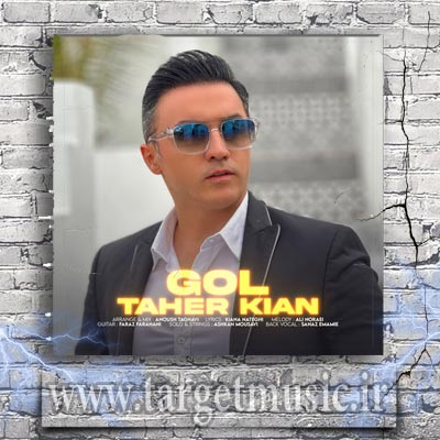 دانلود آهنگ حالا که خونه دارم دل دیوونه دارم میخوام باشی تو یارم نه نگو نمیشه