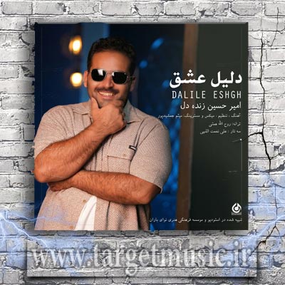 دانلود آهنگ امیرحسین زنده دل به نام دلیل عشق