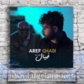 دانلود آهنگ عارف قادی به نام خیال