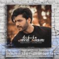 دانلود آهنگ من که تو آغوش سردم رد پاتو پیداش میکردم
