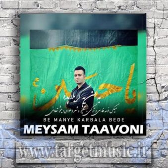 دانلود آهنگ میثم تعاونی به نام به من یه کربلا بده