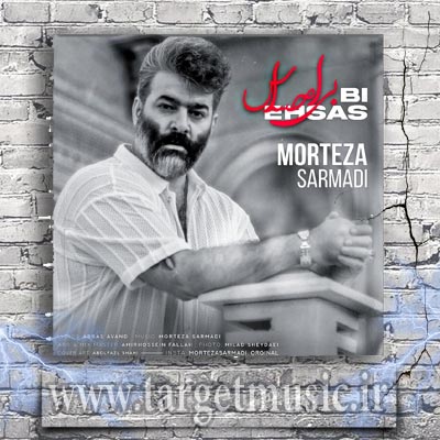 دانلود آهنگ مرتضی سرمدی به نام بی احساس