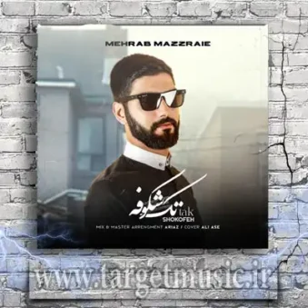 دانلود آهنگ مهراب مزرعی به نام تک شکوفه دانلود آهنگ مهراب مزرعی به نام تک شکوفه