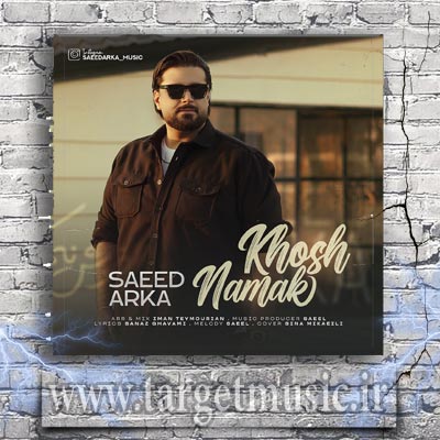 دانلود آهنگ سعید آرکا به نام خوش نمک