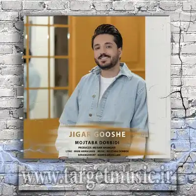 دانلود آهنگ دارم میام تو قلبت گل از گلم شکفته