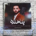 دانلود آهنگ پناهنده‌ی چشمات الان رو به روی تو نشستم مات