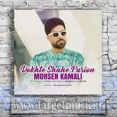 دانلود آهنگ زلزله کردی به پا از بس نمک داری