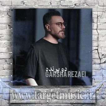 دانلود آهنگ گرشا رضایی دو پرنده دانلود آهنگ گرشا رضایی دو پرنده