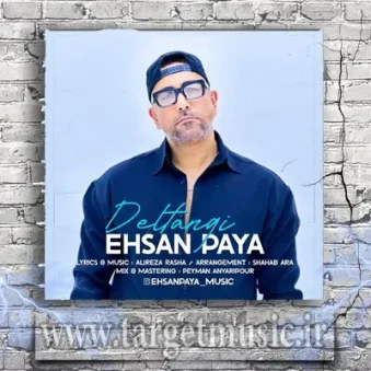 دانلود آهنگ احسان پایا به نام دلتنگی