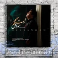 دانلود آهنگ سروش به نام دلتنگم
