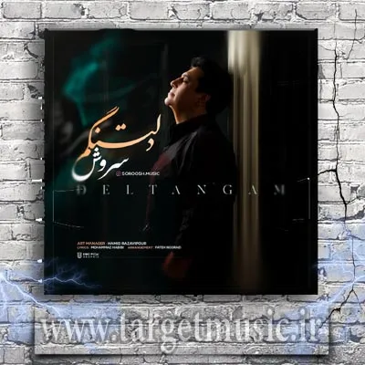 دانلود آهنگ سروش به نام دلتنگم