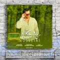 دانلود آهنگ آیدین حسینی به نام من دلم دریا میخواد