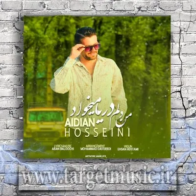 دانلود آهنگ آیدین حسینی به نام من دلم دریا میخواد
