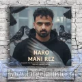 دانلود آهنگ مانی رز به نام نرو