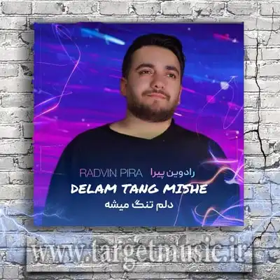 دانلود آهنگ رادوین پیرا به نام دلم تنگ میشه