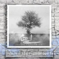 دانلود آهنگ تو از درون سینه ام قلب مرا ربودی