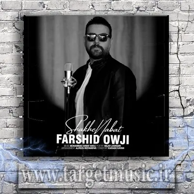 دانلود آهنگ فرشید اوجی به نام شاخه نبات