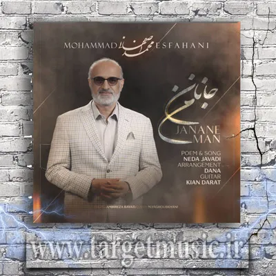 دانلود آهنگ قسم به تار مویت به آفتاب رویت که قصد من از زندگی لبخند تو بود