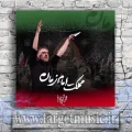 دانلود نوحه این مردم باور و دین دارن هر سال شوق اربعین دارن