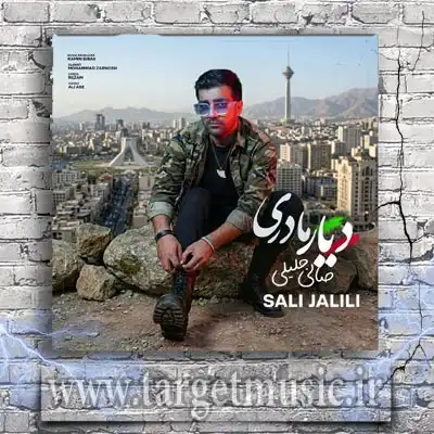 دانلود آهنگ صالی جلیلی به نام دیار مادری