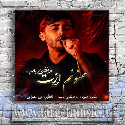 دانلود نوحه کسی منو تو دنیا نمیخره ولی تو منو بخر آقا